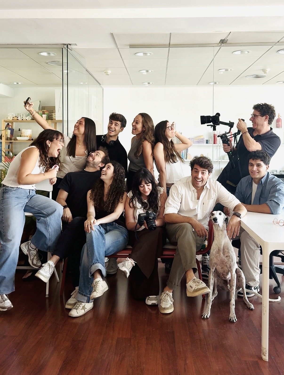 Equipo de Addicional, agencia de marketing en Sabadell, en su oficina con Lolo, la mascota del equipo